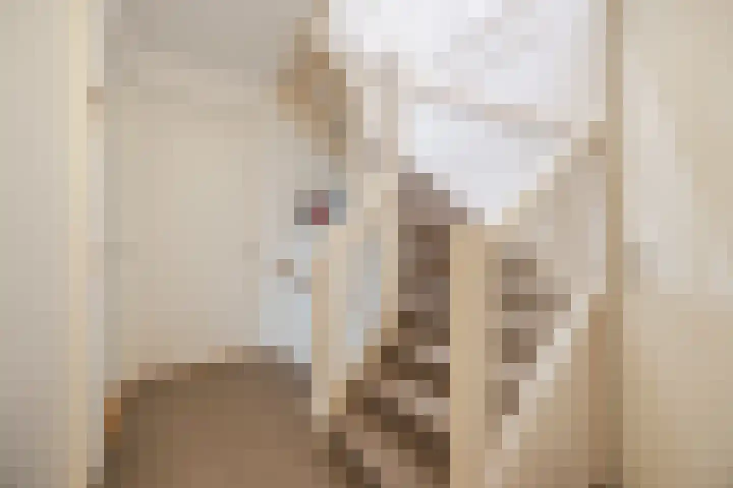 op den Duyn 4 Hoogerheide thumbnail 41