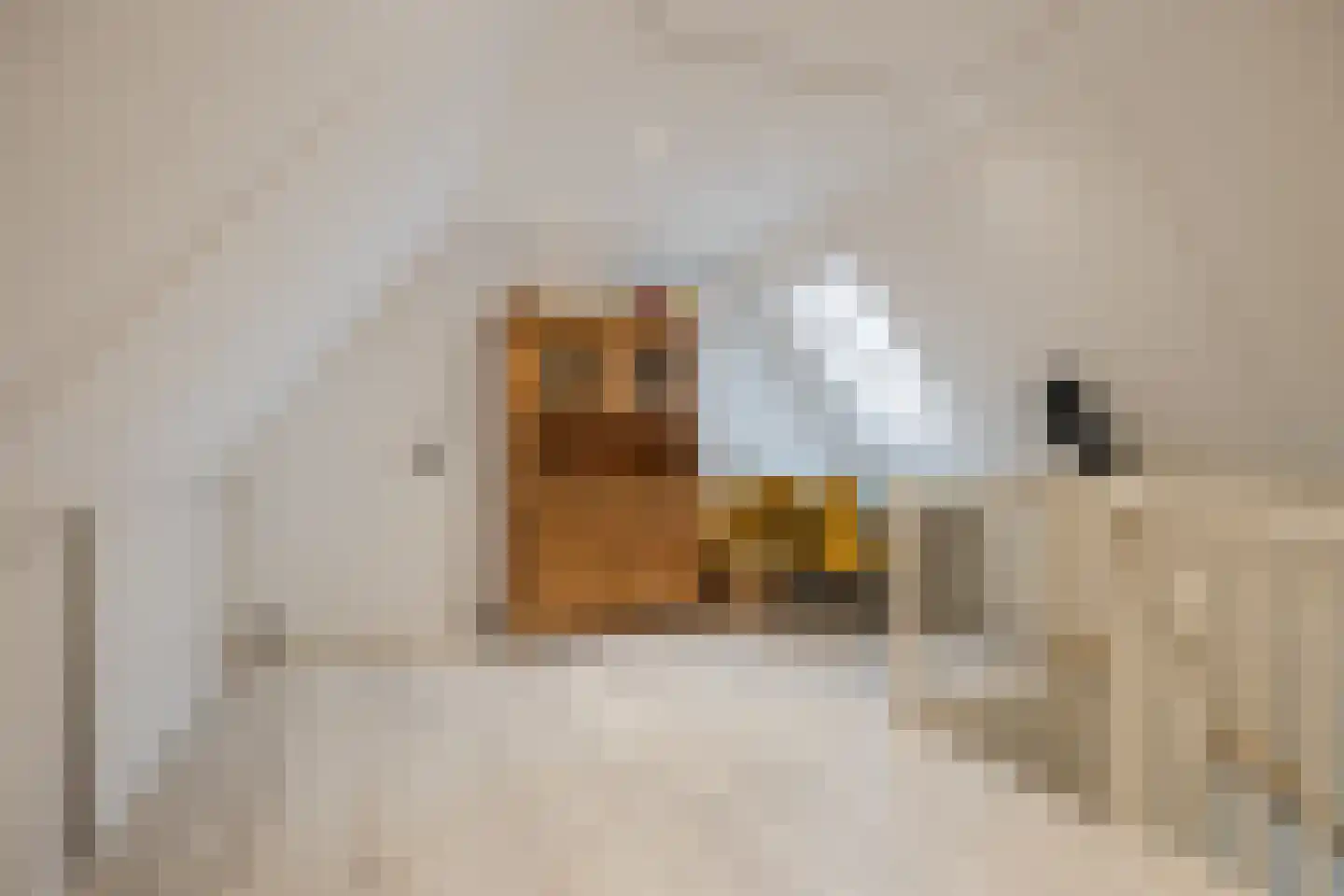 op den Duyn 4 Hoogerheide thumbnail 43