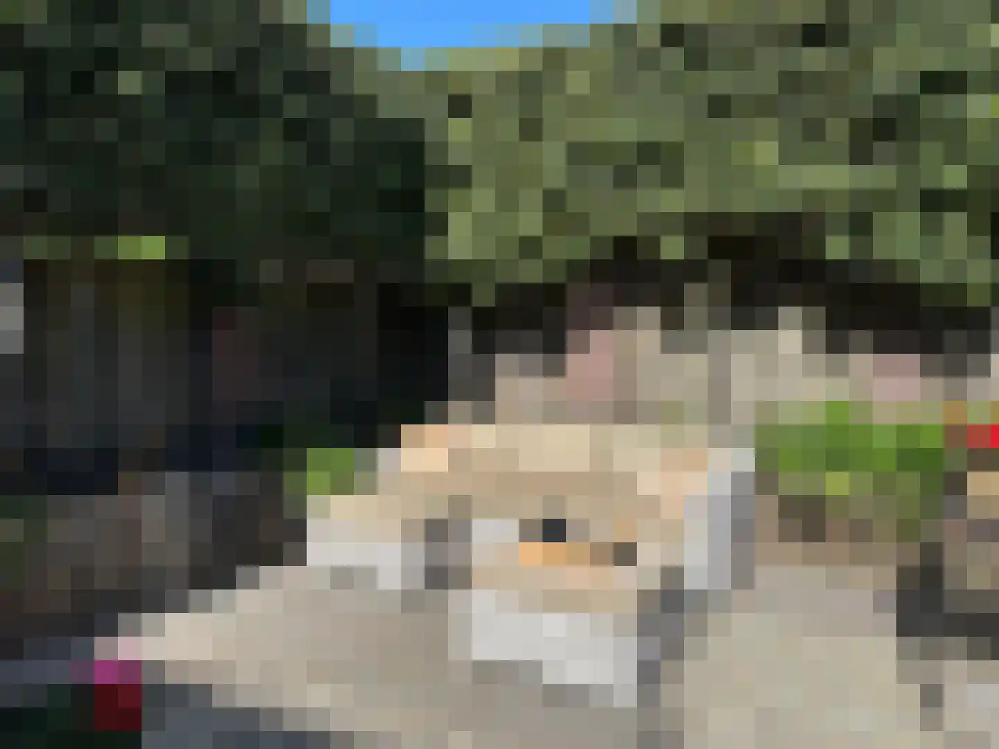 op den Duyn 4 Hoogerheide thumbnail 47