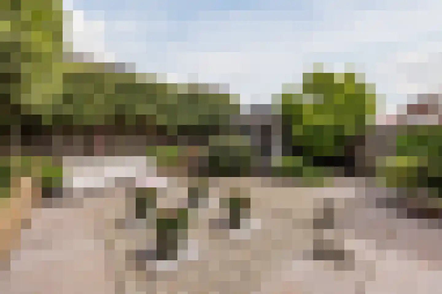 op den Duyn 4 Hoogerheide thumbnail 49