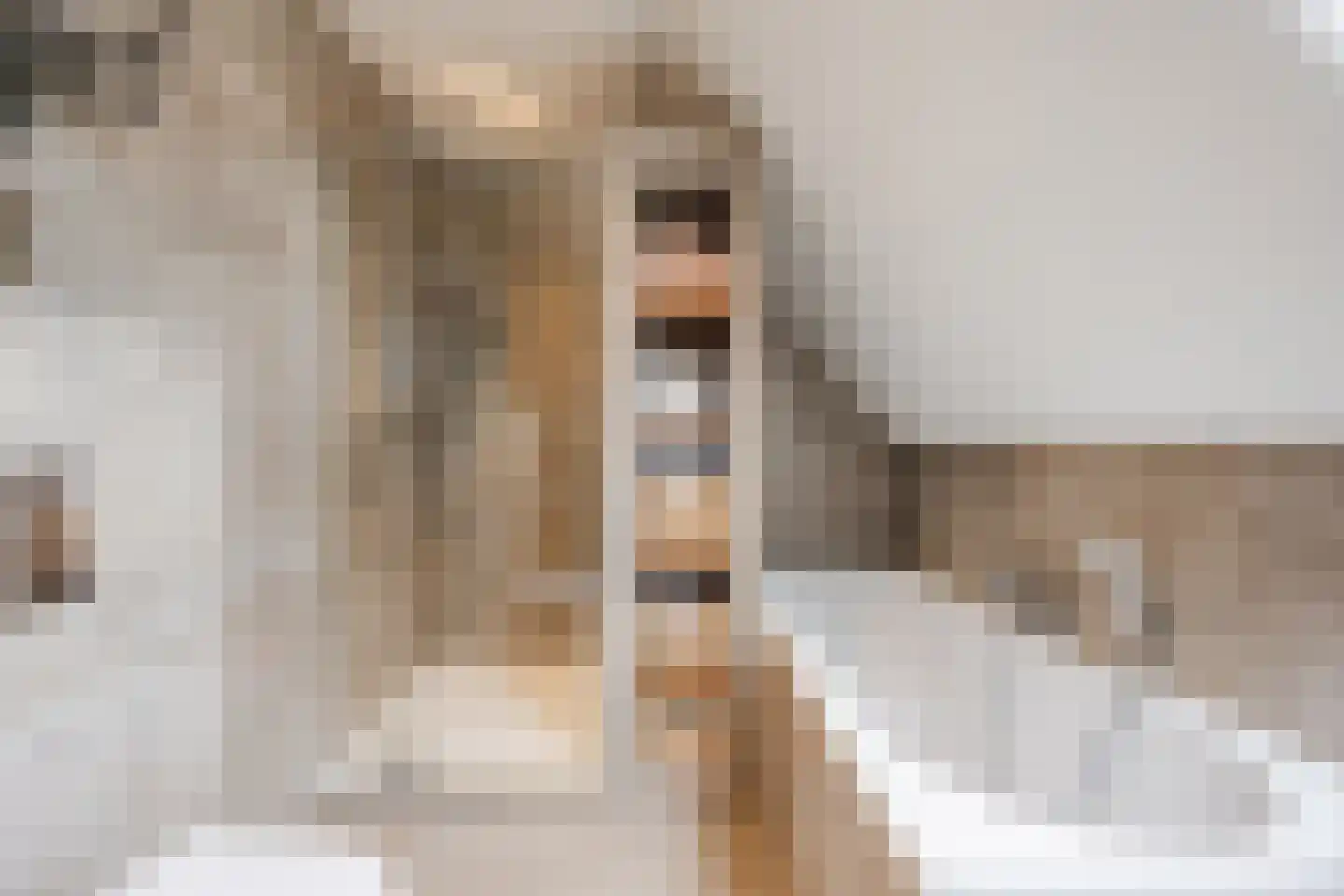 op den Duyn 4 Hoogerheide thumbnail 5