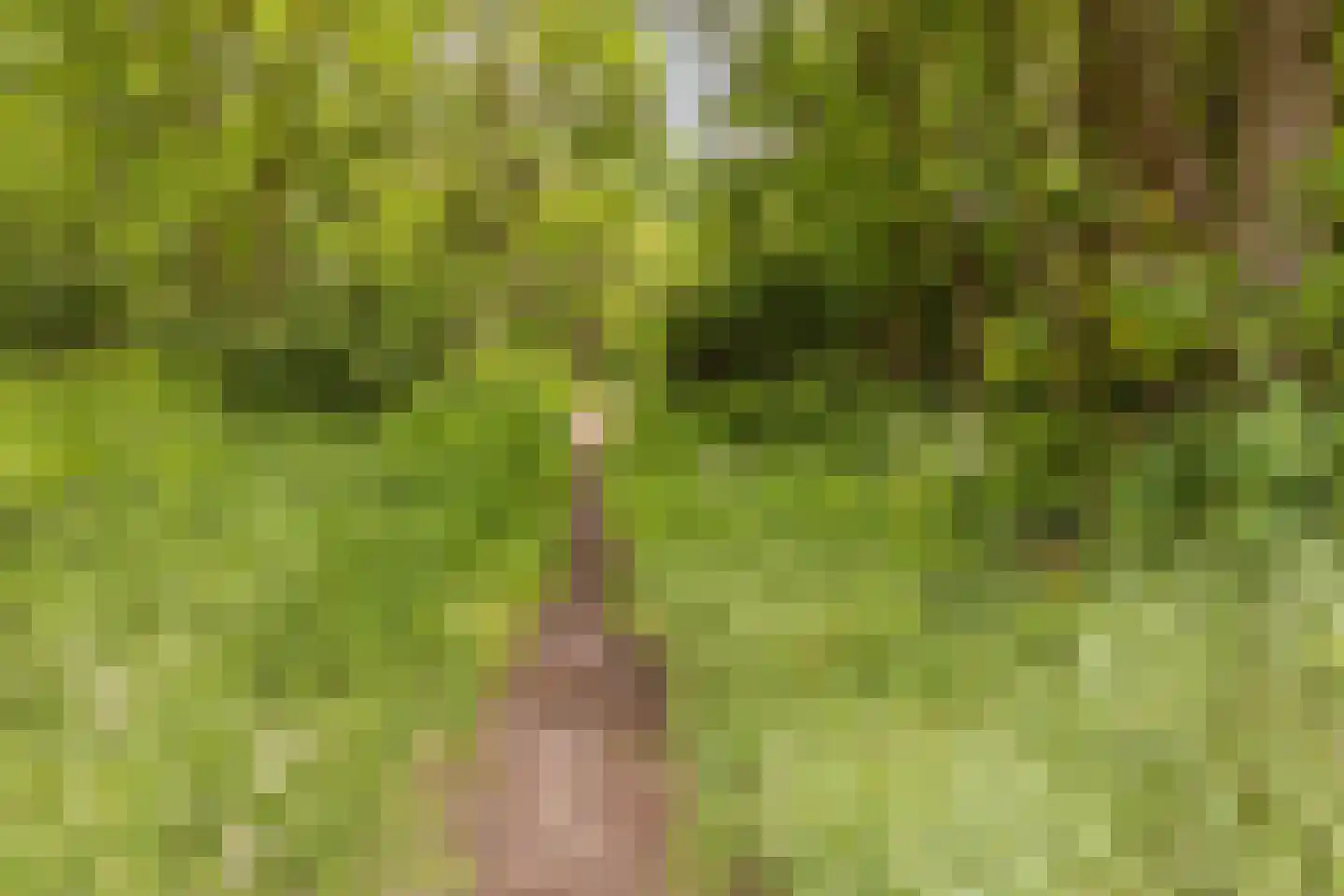 op den Duyn 4 Hoogerheide thumbnail 58