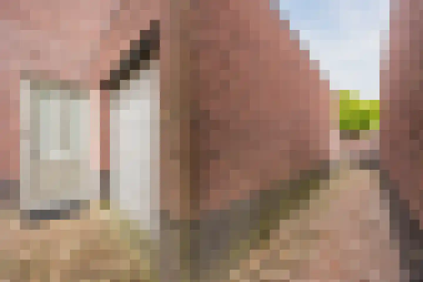 op den Duyn 4 Hoogerheide thumbnail 8
