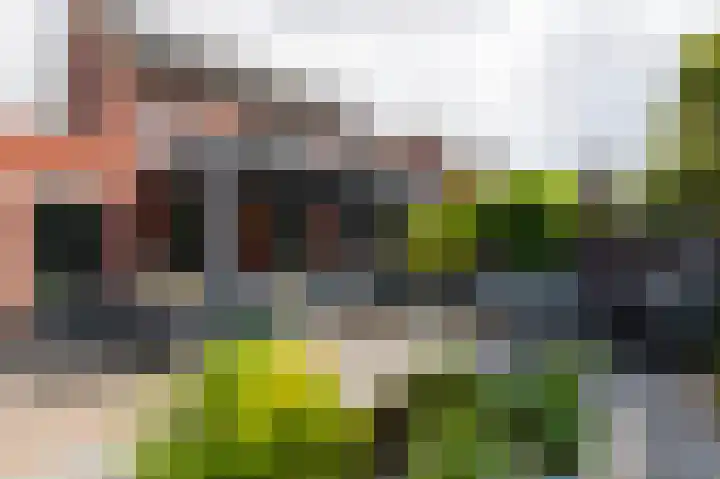 op den Duyn 54 Hoogerheide foto 2