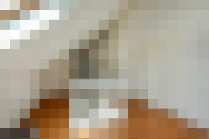 op den Duyn 54 Hoogerheide thumbnail 28