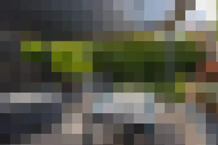 op den Duyn 54 Hoogerheide thumbnail 37