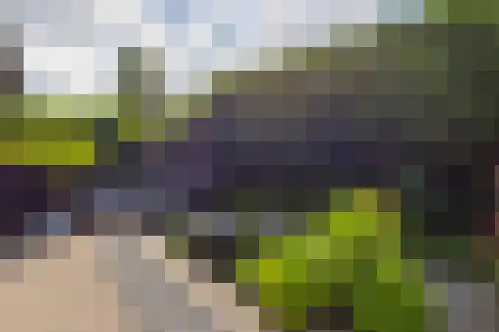 op den Duyn 54 Hoogerheide thumbnail 38