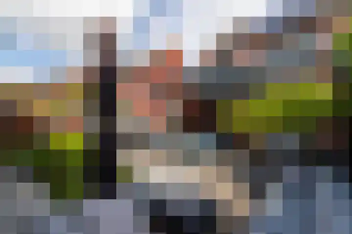 op den Duyn 54 Hoogerheide thumbnail 39