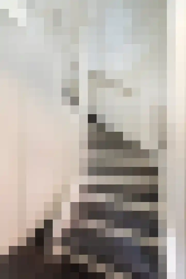 op den Duyn 54 Hoogerheide thumbnail 5