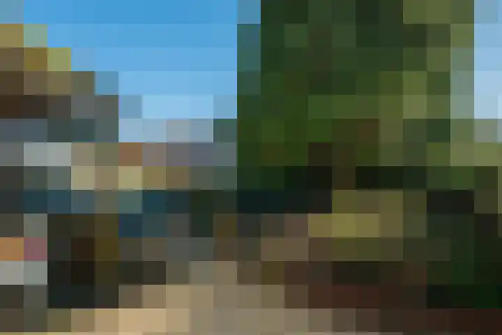 Op den Hamel 30 Venlo thumbnail 28