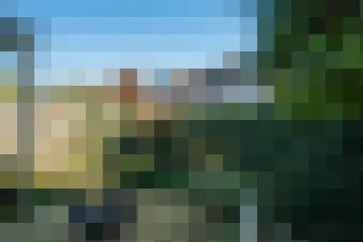 Op den Hamel 30 Venlo thumbnail 29