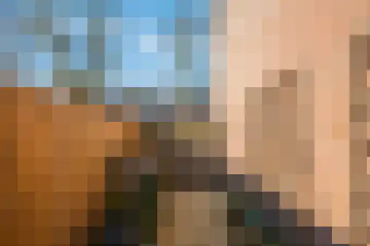 Op den Hamel 30 Venlo thumbnail 32