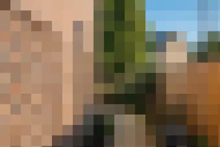 Op den Hamel 30 Venlo thumbnail 33