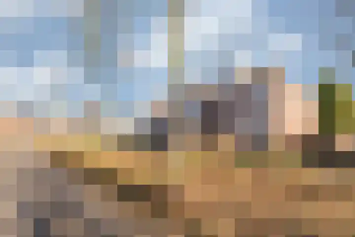 Op den Hamel 30 Venlo thumbnail 34