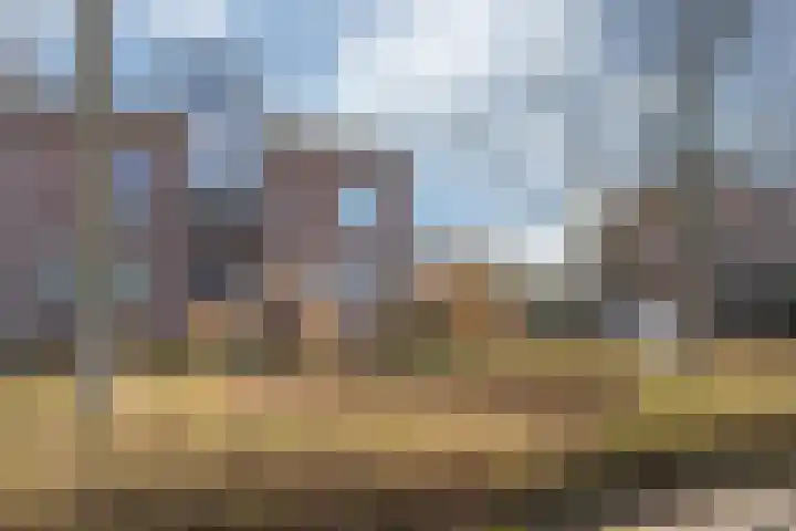 Op den Hamel 30 Venlo thumbnail 35