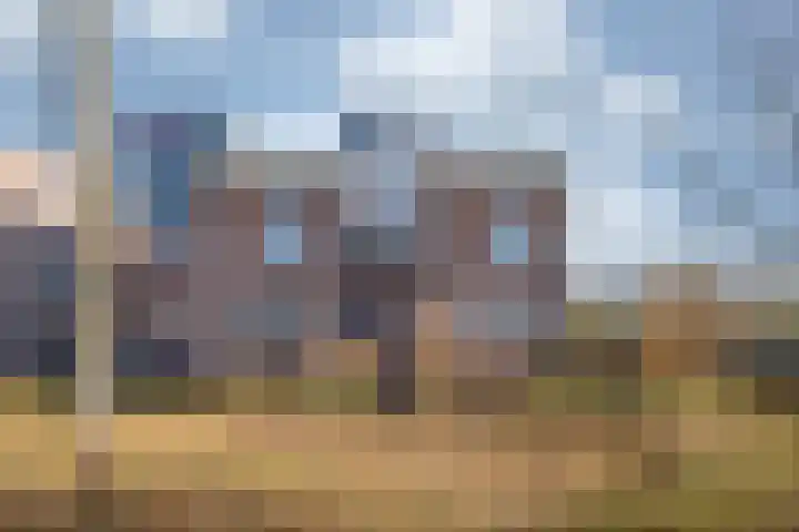 Op den Hamel 30 Venlo thumbnail 36