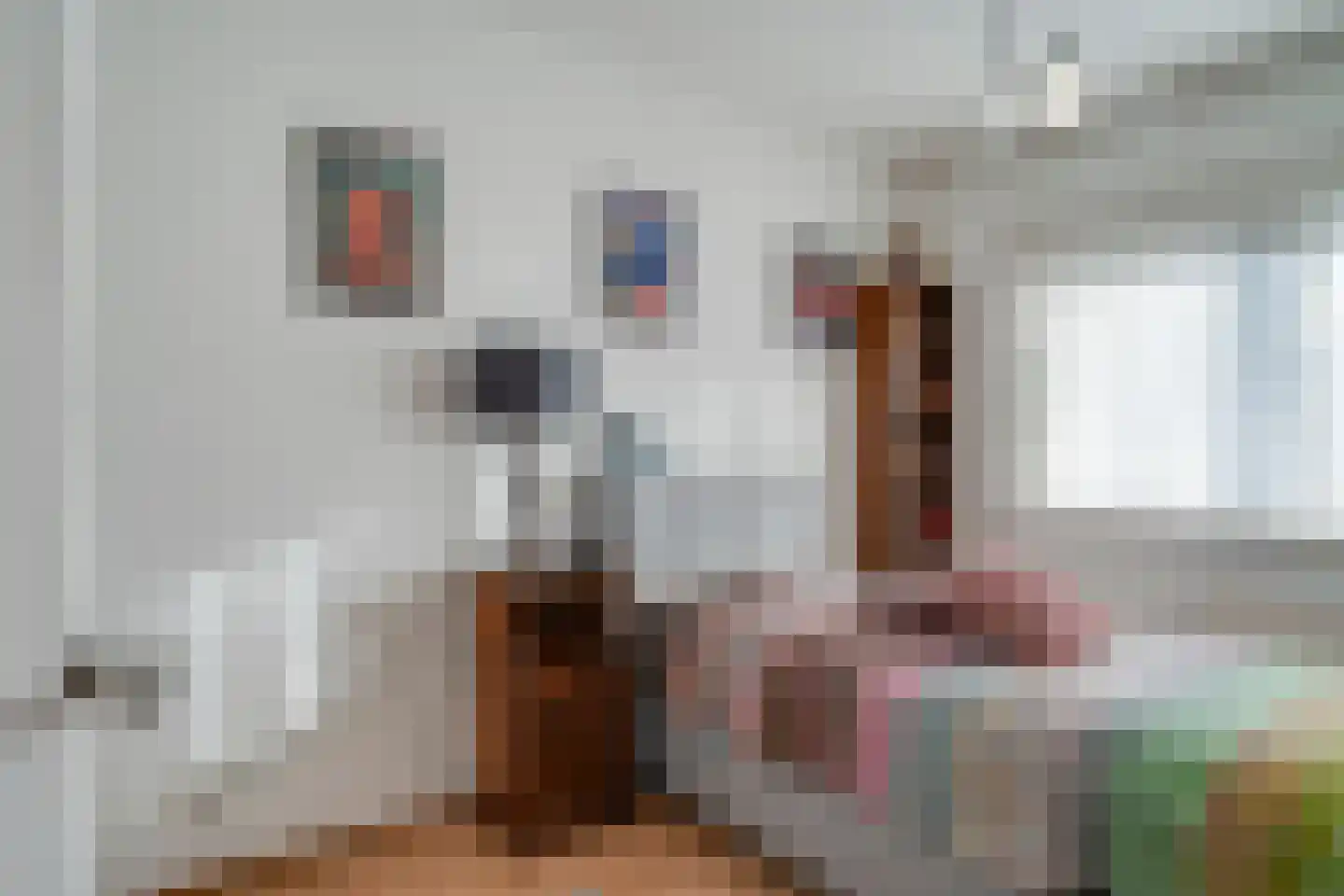 Op den Henneberg 29 Schinveld thumbnail 21