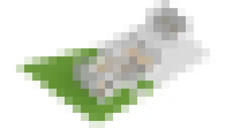 Op den Henneberg 29 Schinveld thumbnail 43