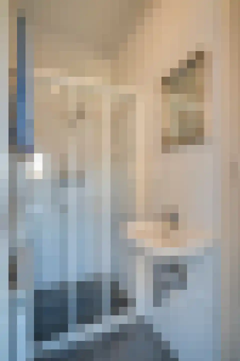 Op den Henneberg 29 Schinveld thumbnail 8