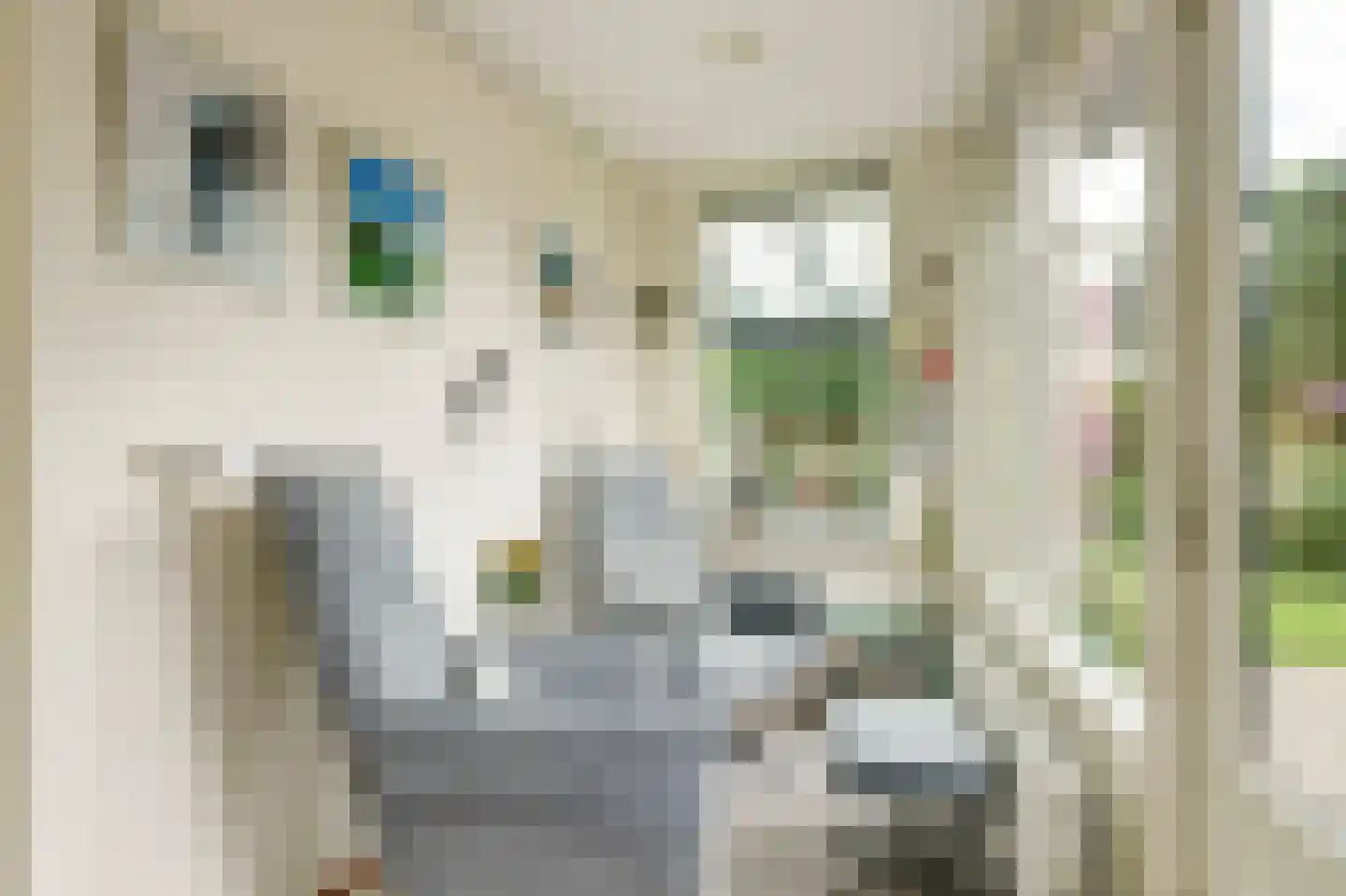Op den Hoef 4 Grootebroek thumbnail 17