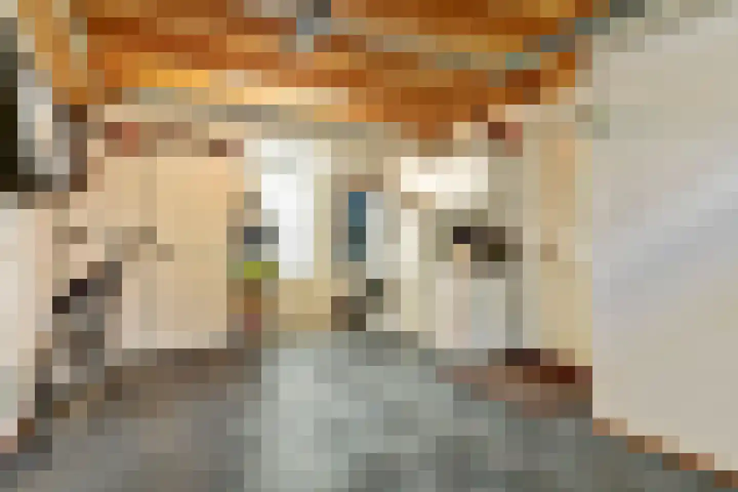 Op den Hoef 4 Grootebroek thumbnail 21
