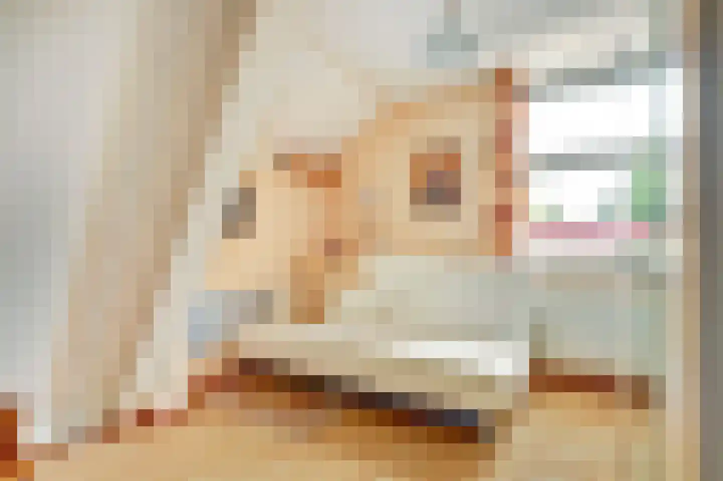 Op den Hoef 4 Grootebroek thumbnail 28