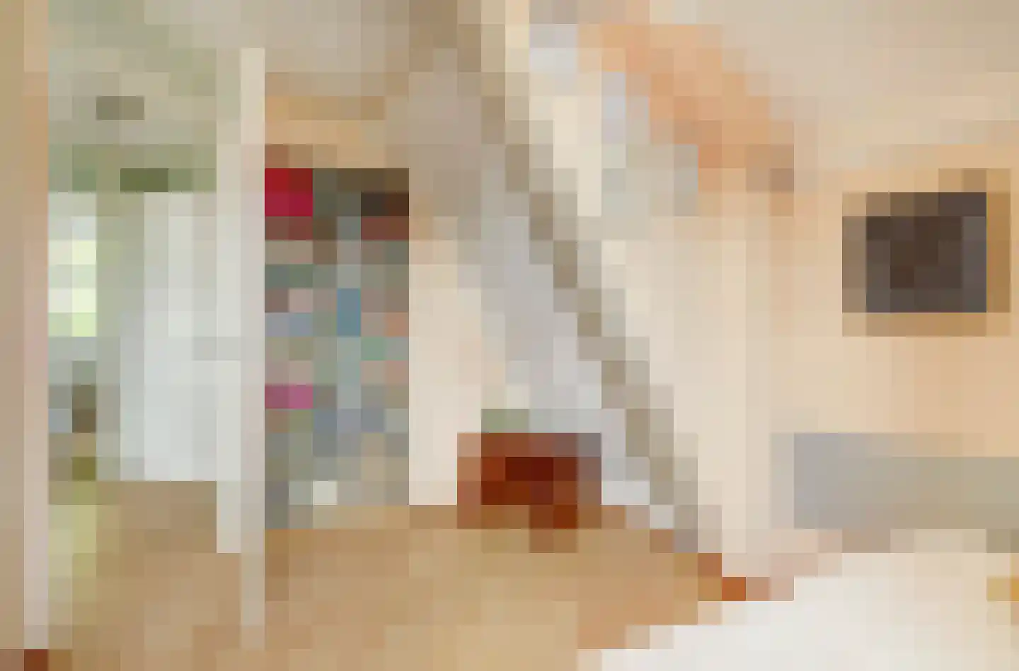 Op den Hoef 4 Grootebroek thumbnail 29