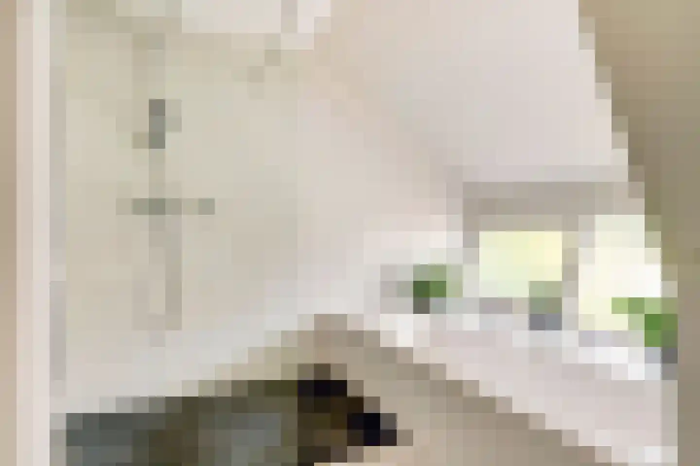 Op den Hoef 4 Grootebroek thumbnail 30