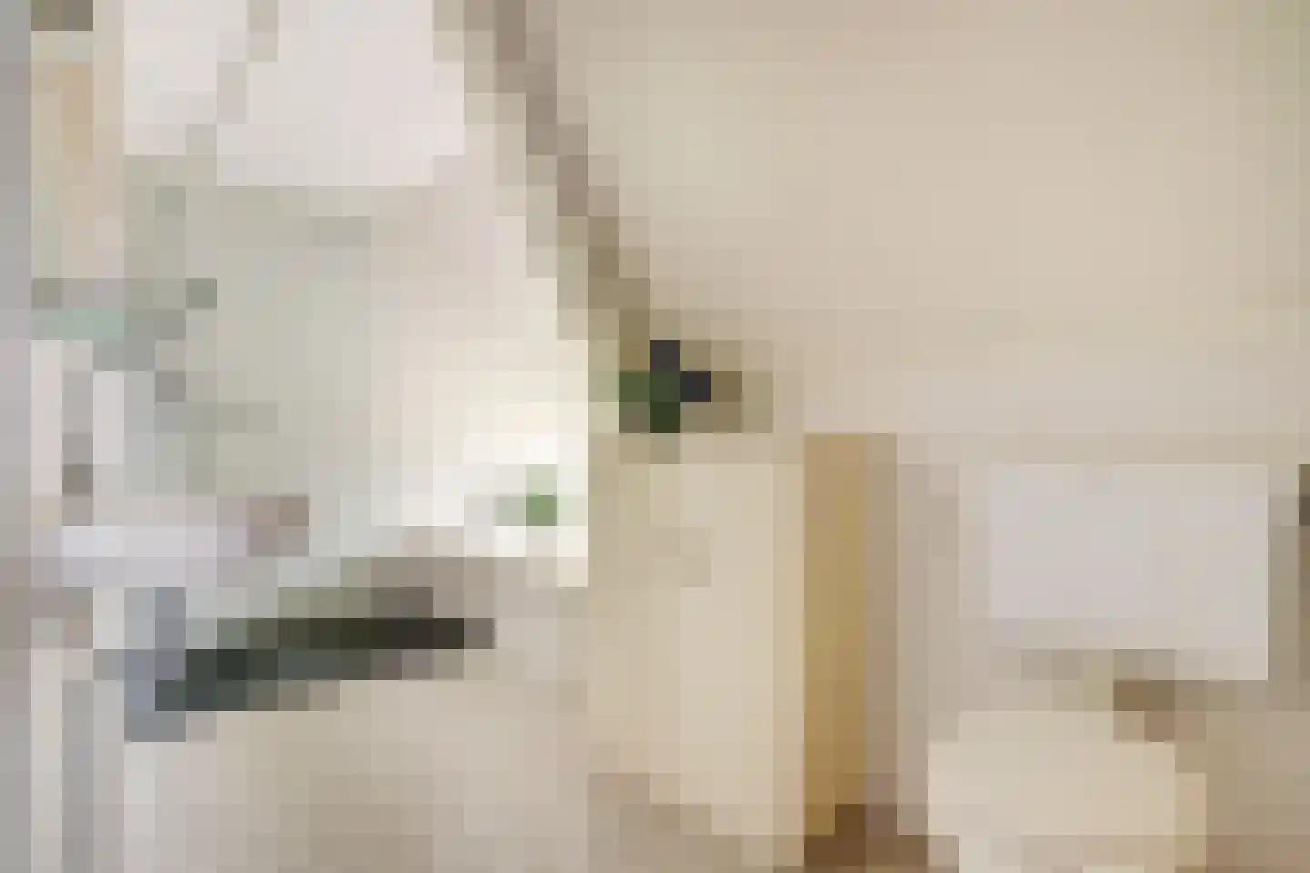Op den Hoef 4 Grootebroek thumbnail 33