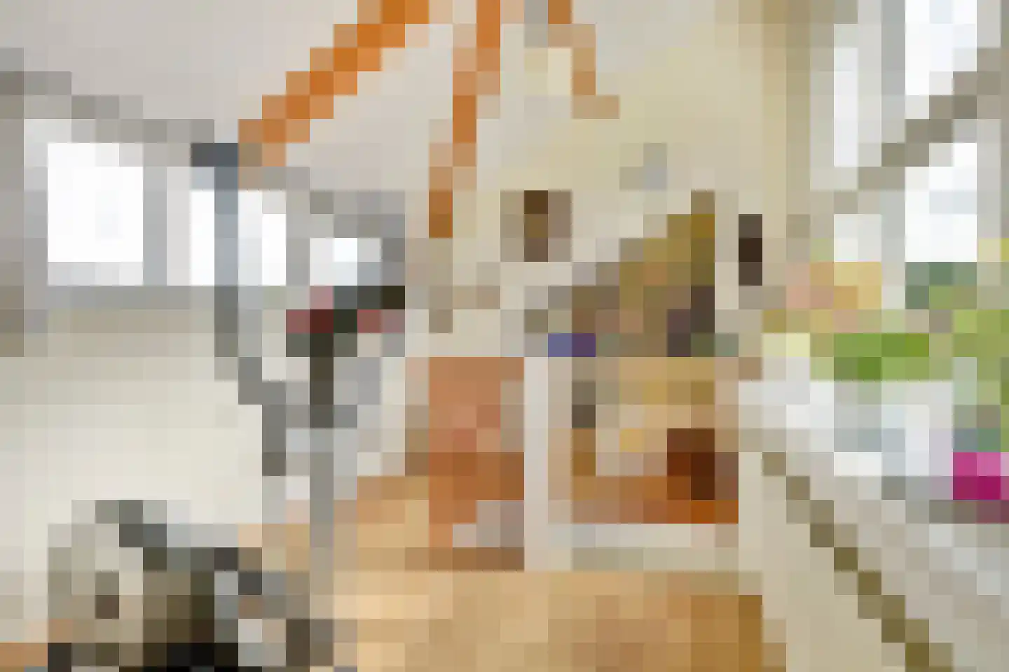 Op den Hoef 4 Grootebroek thumbnail 36