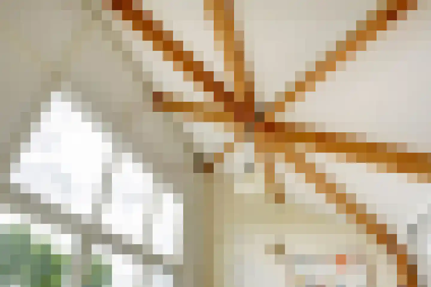 Op den Hoef 4 Grootebroek thumbnail 38