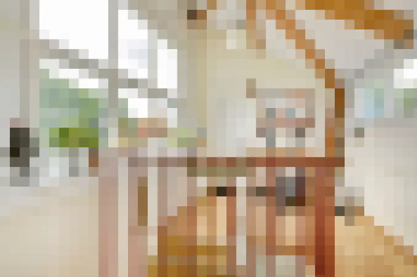 Op den Hoef 4 Grootebroek thumbnail 39