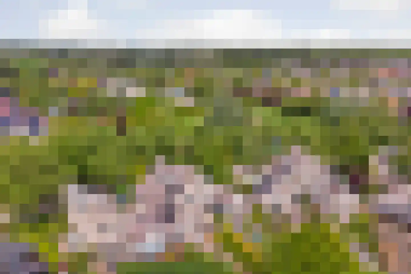 Op den Hoef 4 Grootebroek thumbnail 4