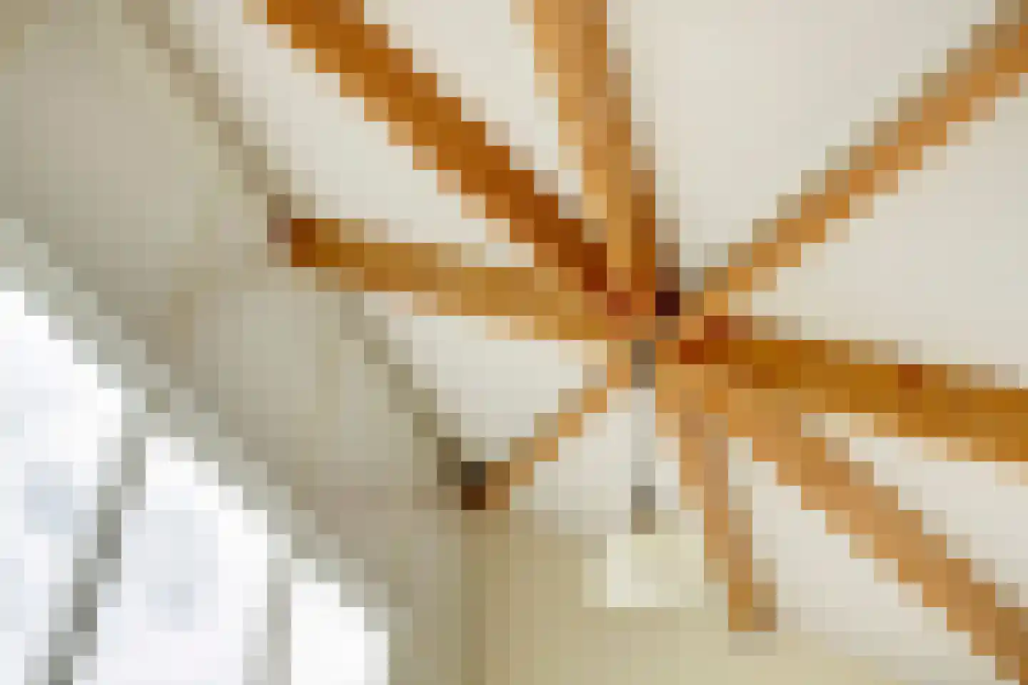 Op den Hoef 4 Grootebroek thumbnail 40