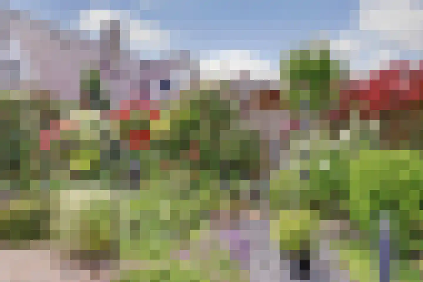 Op den Hoef 4 Grootebroek thumbnail 45
