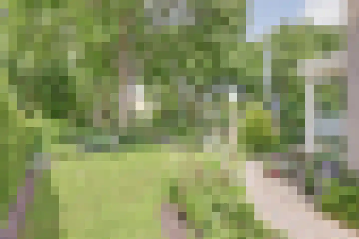 Op den Hoef 4 Grootebroek thumbnail 52