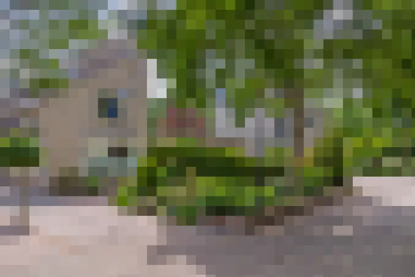 Op den Hoef 4 Grootebroek thumbnail 56