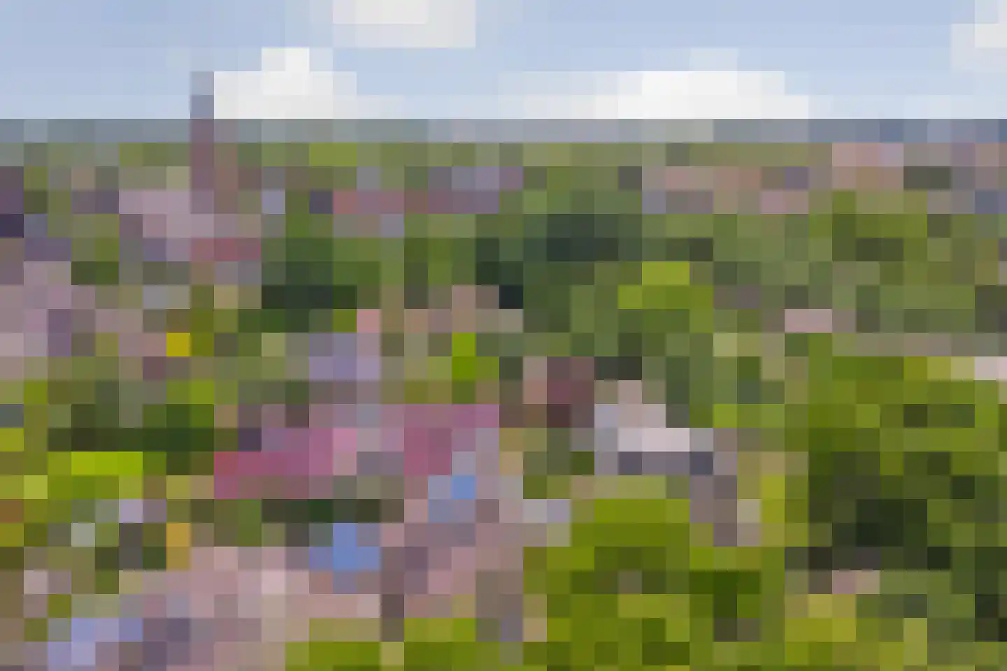 Op den Hoef 4 Grootebroek thumbnail 58