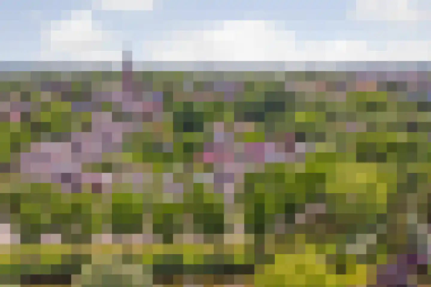 Op den Hoef 4 Grootebroek thumbnail 59