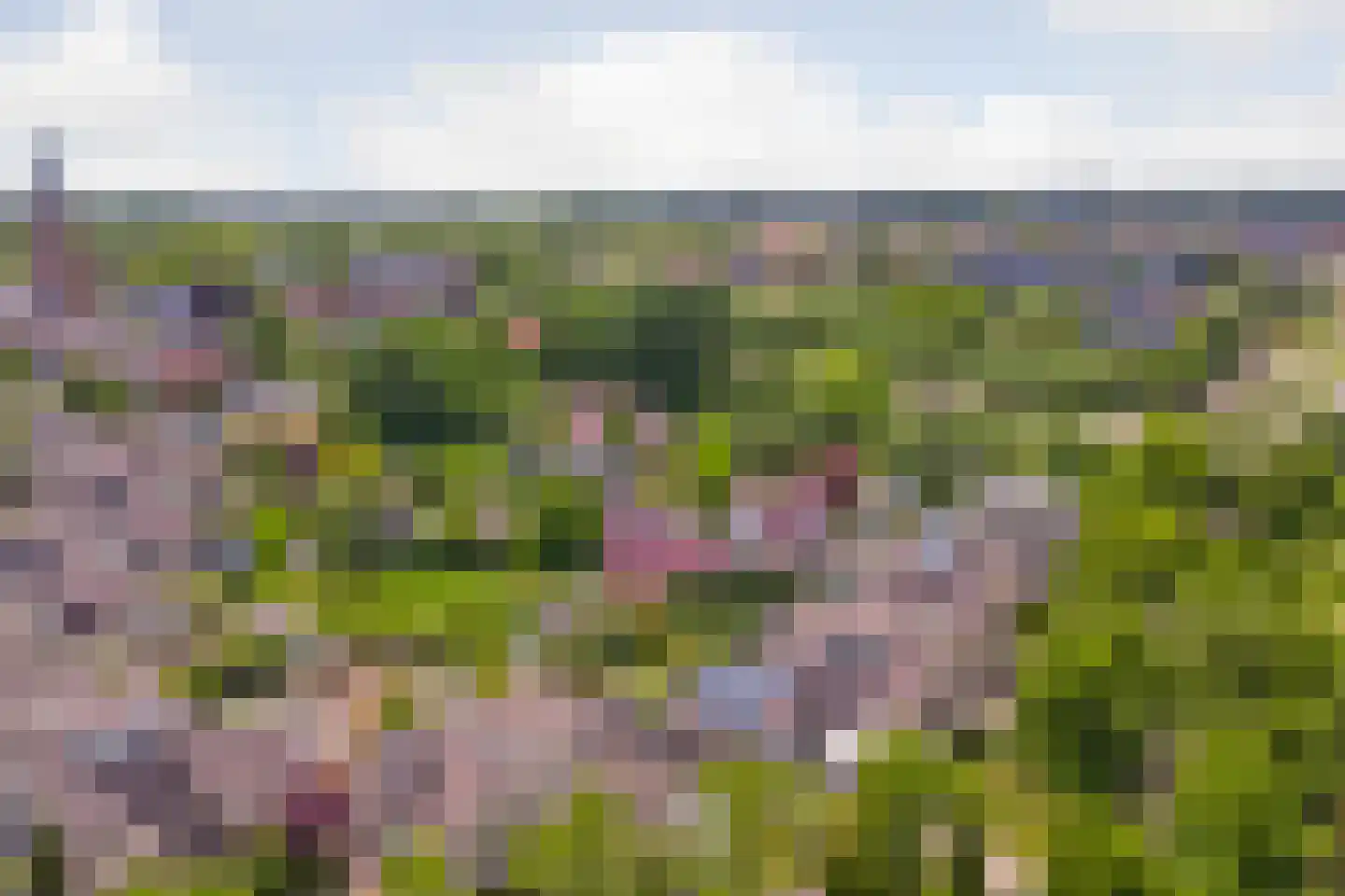 Op den Hoef 4 Grootebroek thumbnail 60