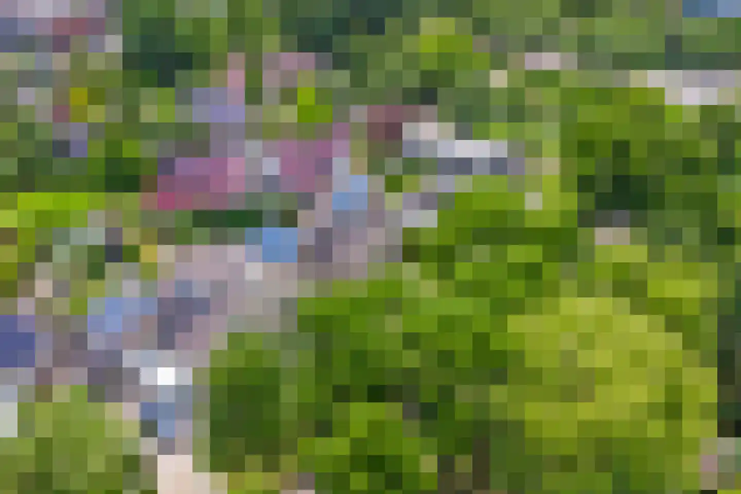 Op den Hoef 4 Grootebroek thumbnail 61