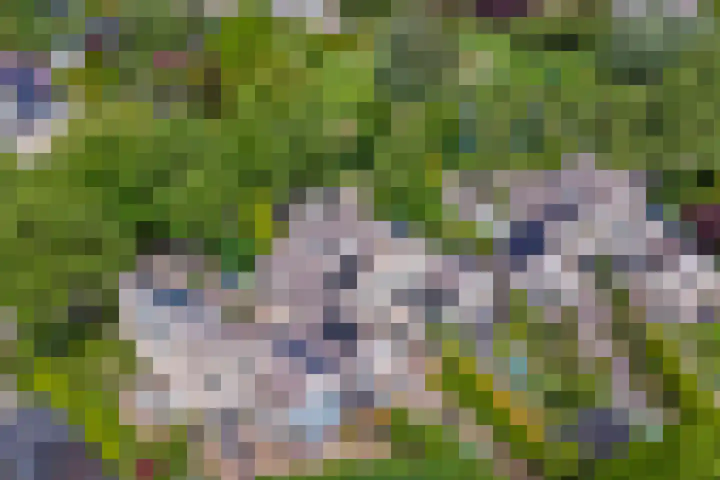 Op den Hoef 4 Grootebroek thumbnail 62