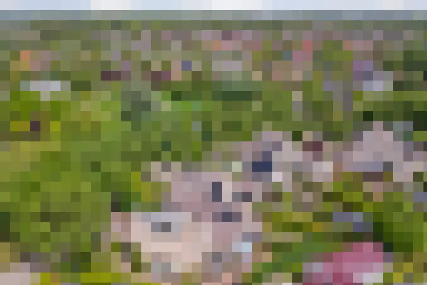 Op den Hoef 4 Grootebroek thumbnail 63