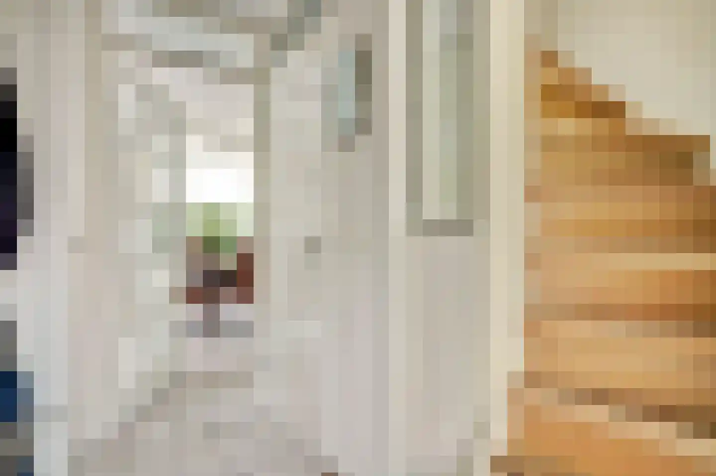 Op den Hoef 4 Grootebroek thumbnail 7
