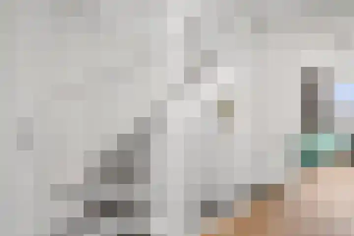 Op den Hof 4 Olst thumbnail 11