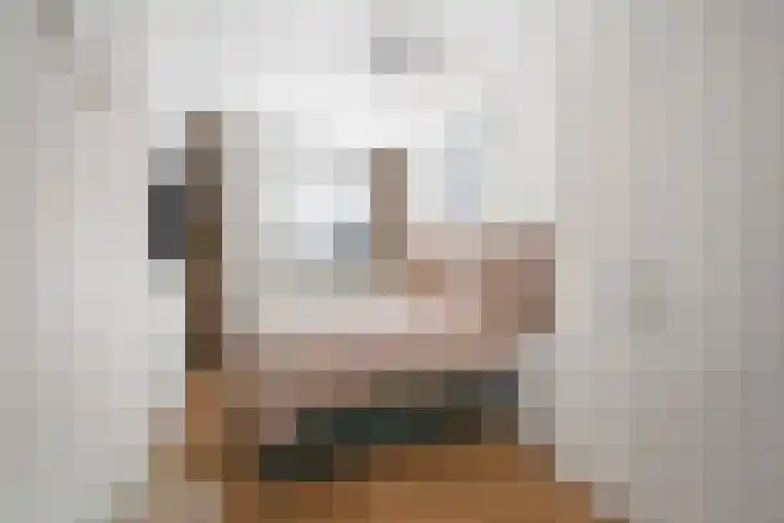 Op den Hof 4 Olst thumbnail 13