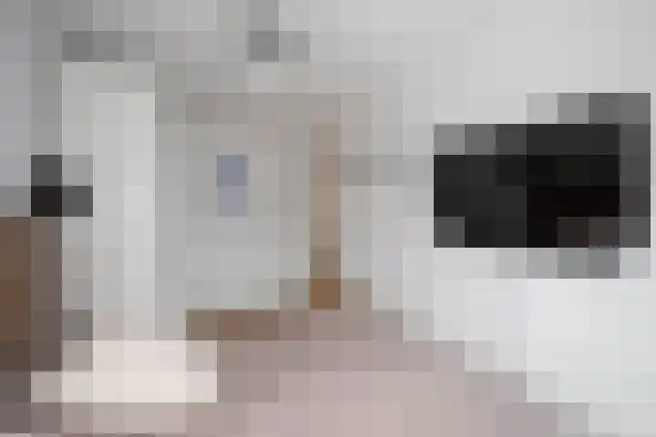Op den Hof 4 Olst thumbnail 15