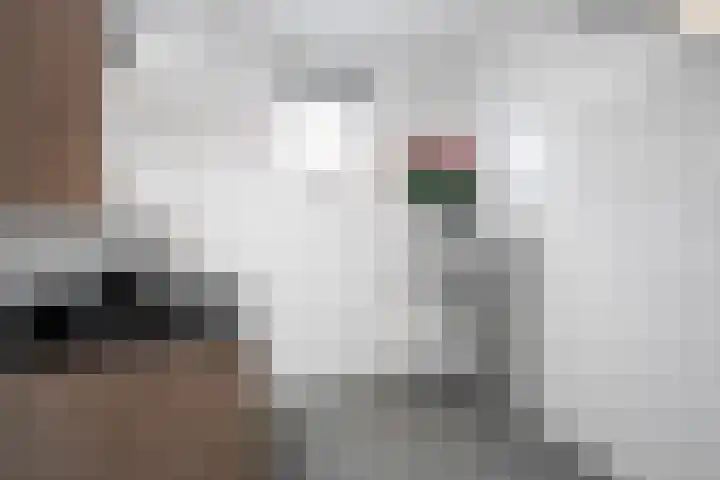 Op den Hof 4 Olst thumbnail 16
