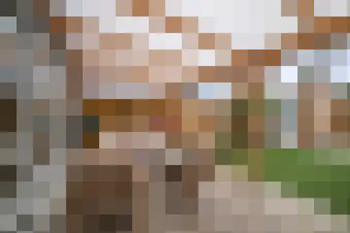 Op den Hof 4 Olst thumbnail 27