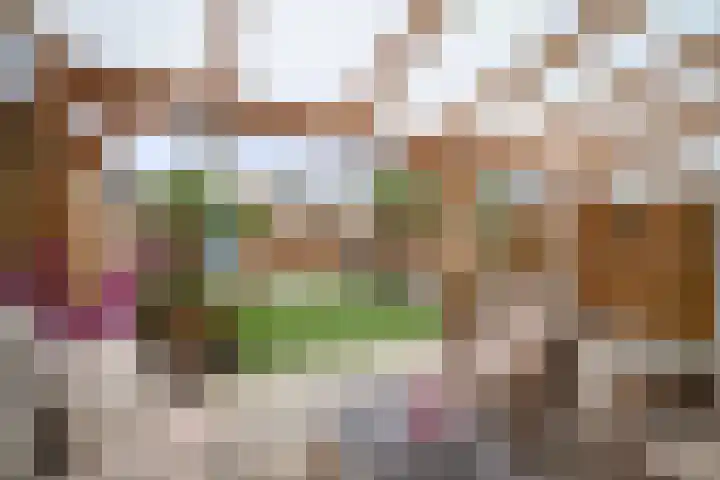 Op den Hof 4 Olst thumbnail 28